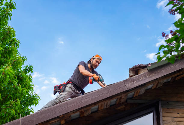 Best Green or Eco-Friendly Roofing Solutions  in Bay City, TX